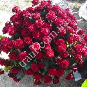 КОРЗИНЫ ИЗ ЖИВЫХ ЦВЕТОВ